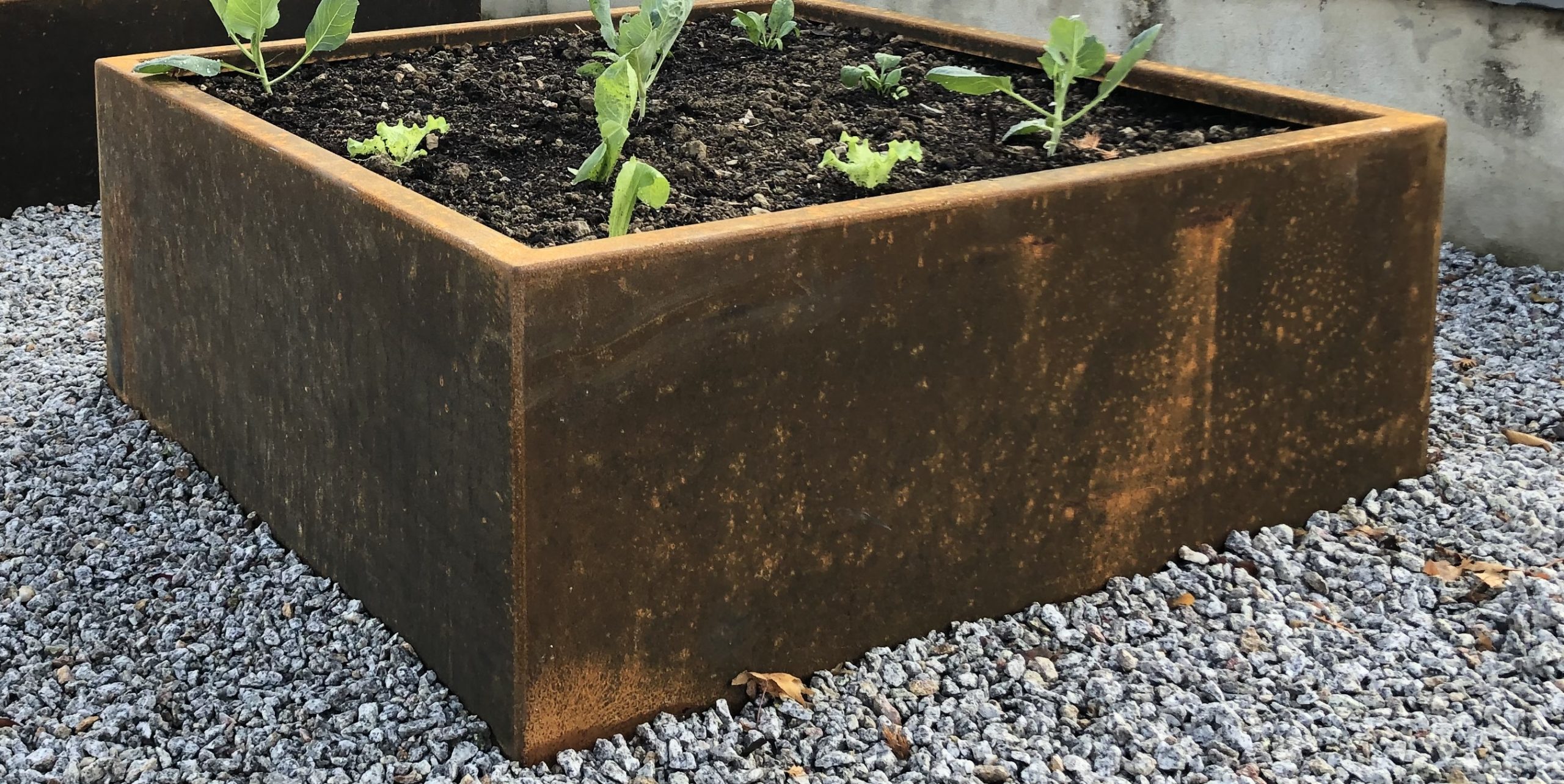 Bac potager acier corten Serge Bollard Saix